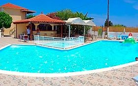 Zante 523